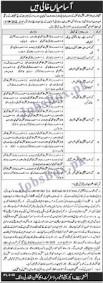 Special Education Department Jobs 2022