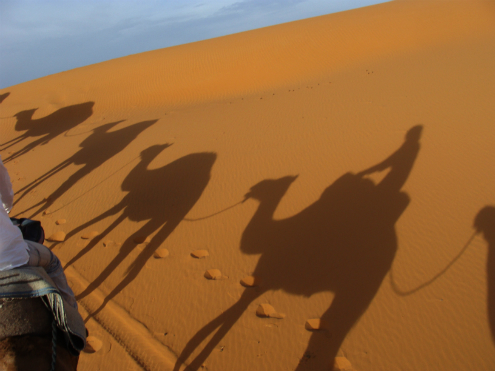 Sahara desert Camel Trek