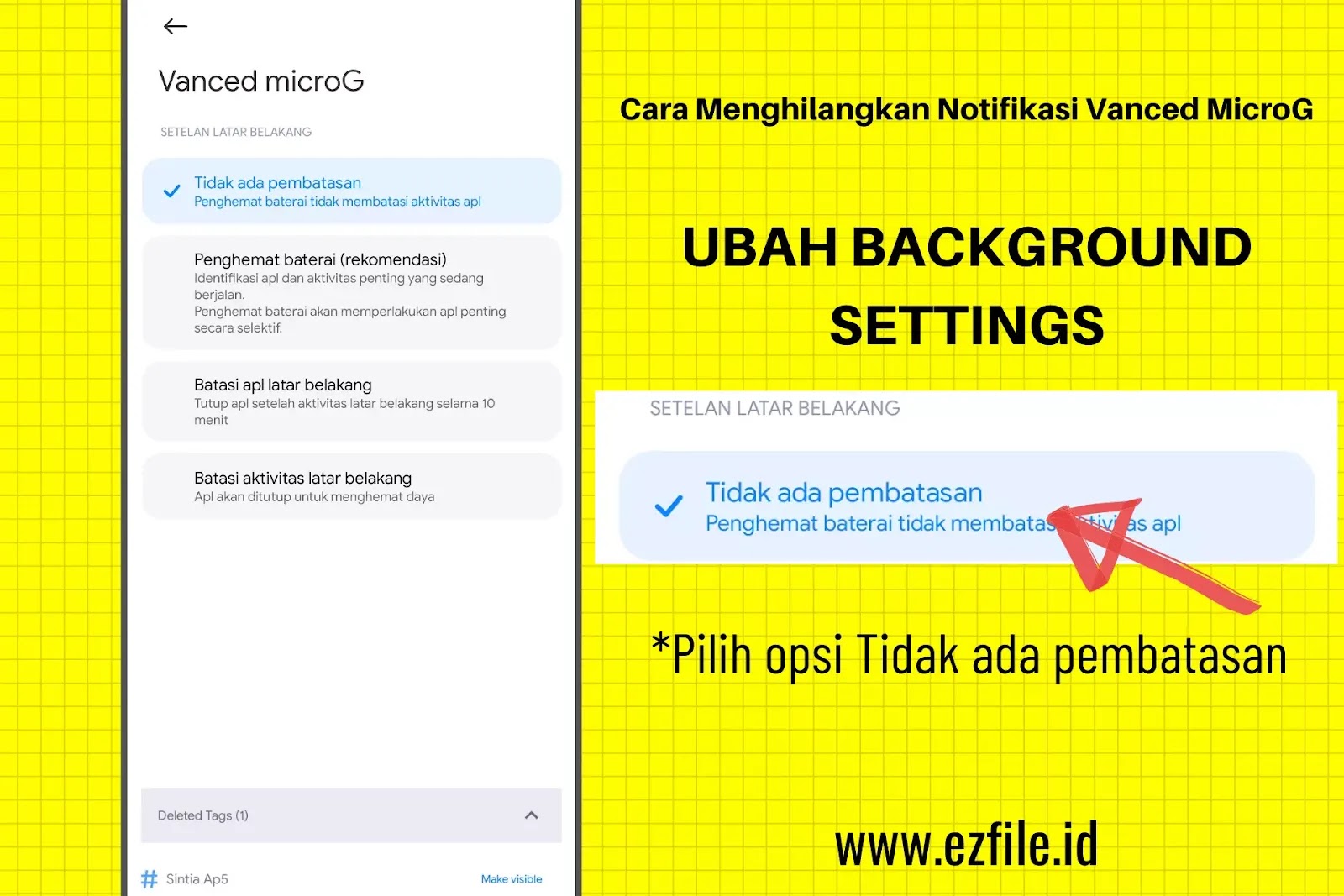 Cara Menghilangkan Notifikasi Vanced MicroG Disable Battery Optimization