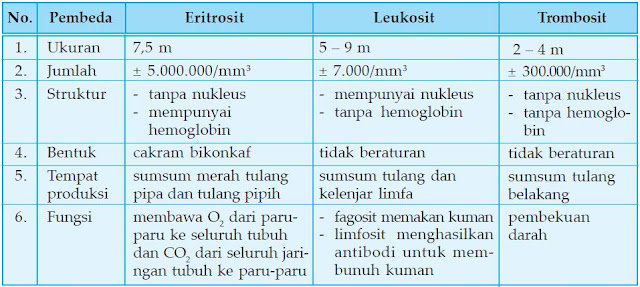 Hasil gambar untuk tabel fungsi sel darah merah, putih, dan keping darah manusia