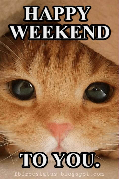 Happy Weekend Memes, Happy Weekend to You.