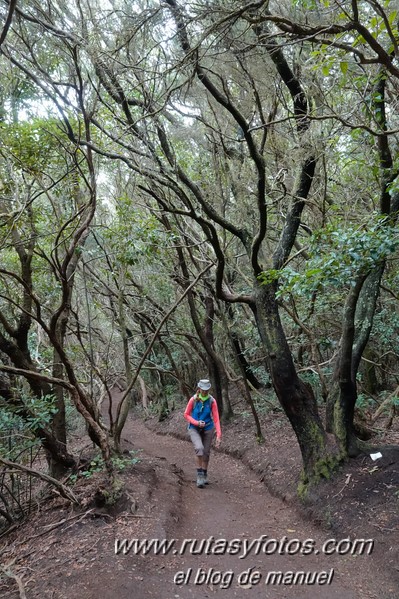 Sendero de los Sentidos - Sendero de los Enigmas