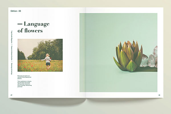 Inspirasi 20+ Desain Brosur dan Katalog Modern - Tiny Catalogue Design Ideas