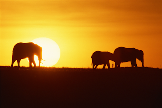 KES, Kenia