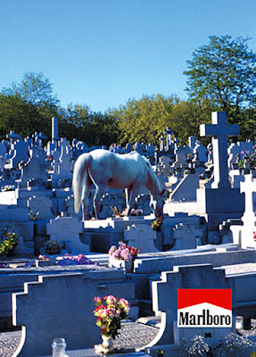 Imagen de contrapublicidad que muestra al caballo de Marlboro buscando a su dueño en el cementerio