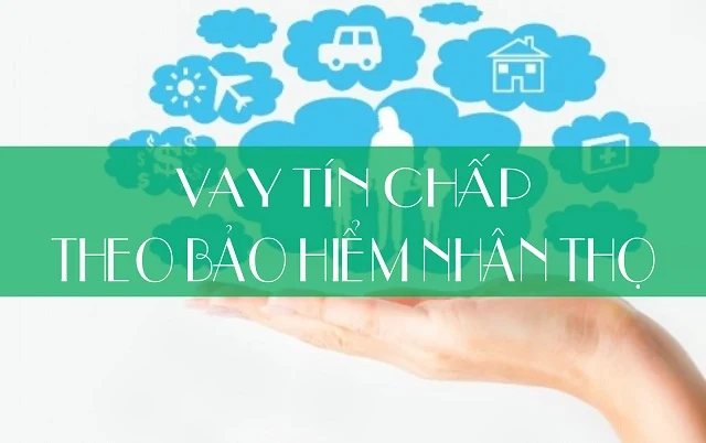 Những điều cần lưu ý khi vay tiền theo hợp đồng bảo hiểm nhân thọ tại ngân hàng