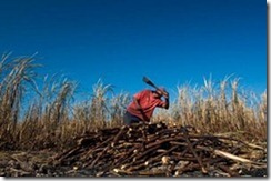 centroamerica_canna_da_zucchero