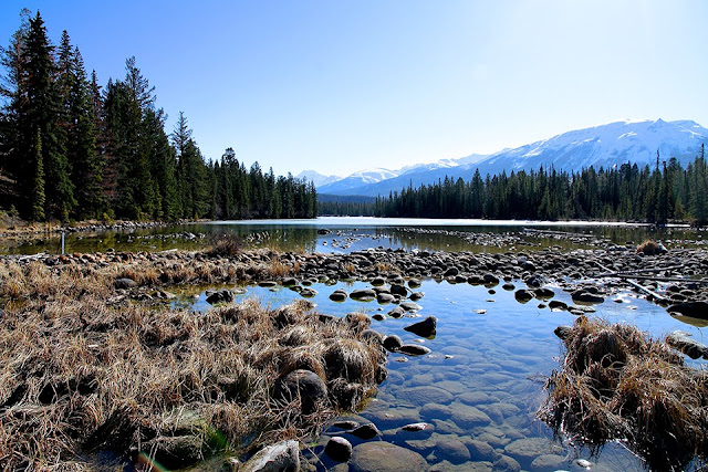 Chuyến Đi Thám Hiểm Vườn Quốc Gia Banff và Jasper 4