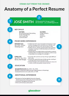 Be Guided! This Is What The Right CV Must Look Like 