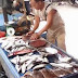 Atasi Formalin, Nelayan Diimbau Produksi Abon Ikan