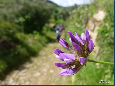 P1080061