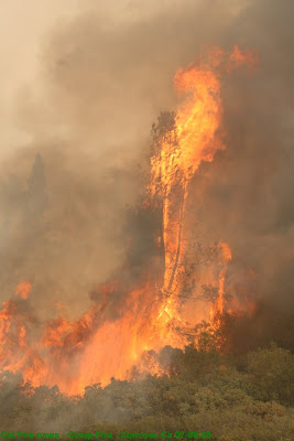 Concow, Fire, Butte complex, Wildland Fire - 07-09-08 Butte lightning Complex,