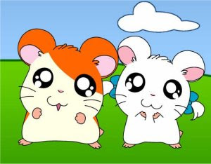 hamtaro