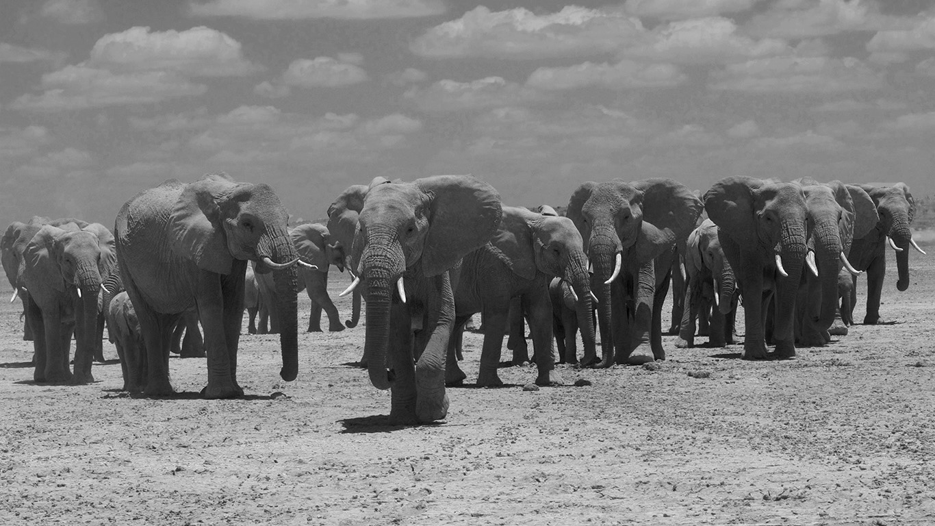 Amboseli