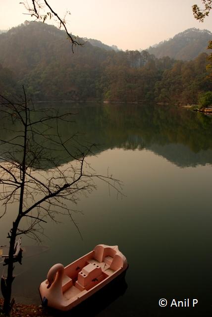 A paddle boat in a lake in the shape of a Swan