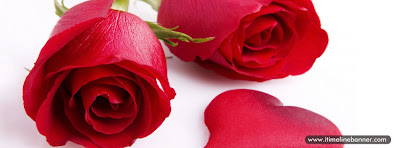 Adorable Roses Facebook Timeline Cover