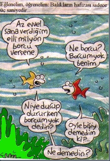 balikhafizasi