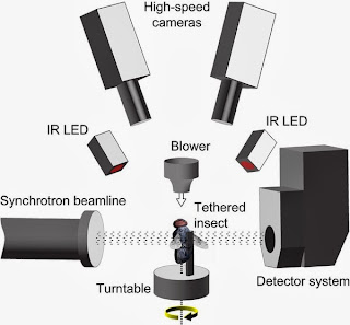 http://www.plosbiology.org/article/info:doi/10.1371/journal.pbio.1001823