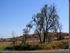 180428 009 Road to Rolleston