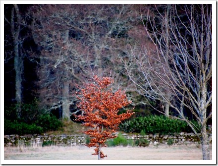 12 Dec 20 12-01-2012 16-48-53