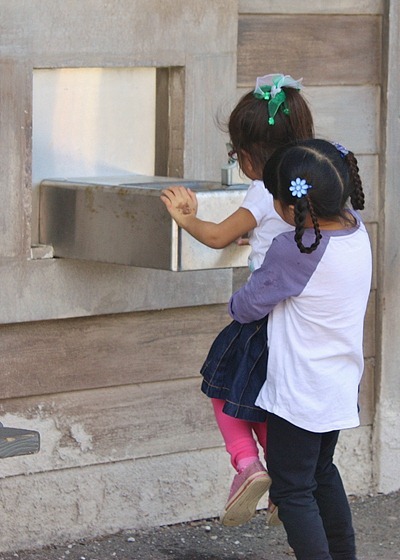 IMG_5935 IMG_5935