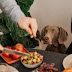 How to formulate a balanced diet for your canine companion