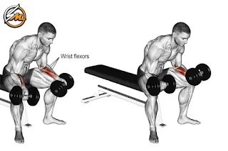 Top 5 Best Exercises to Build Forearms