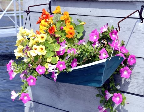 stunning flower bed but how about nautical boat planters