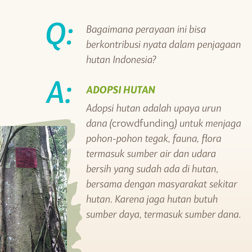 adopsi hutan
