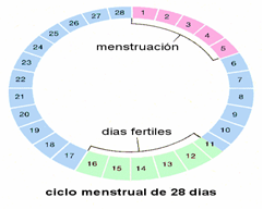 días fértil de la mujer