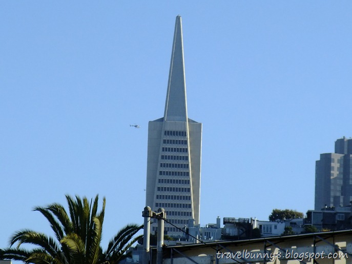 DSCF0157