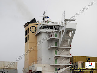 MSC Lily