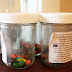 jelly bean lent activity