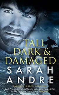 Tall, Dark and Damaged (Damaged Heroes Book 1) - a Romance by Sarah Andre