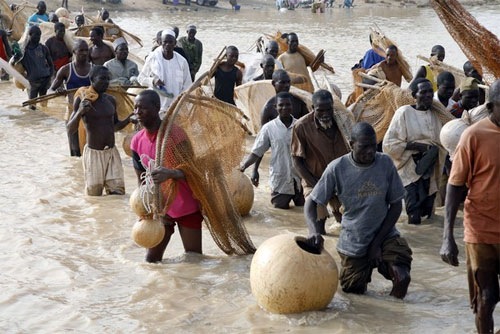 nigeriafishing07