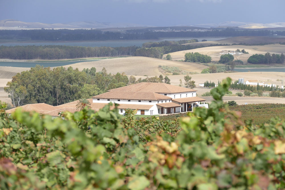 bodega huerta albala arcos frontera cadiz bornos