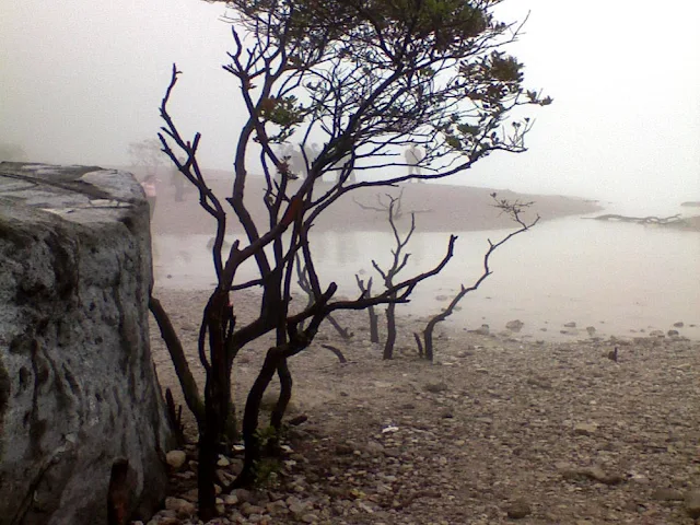Kawah Putih: What a Misty White Crater