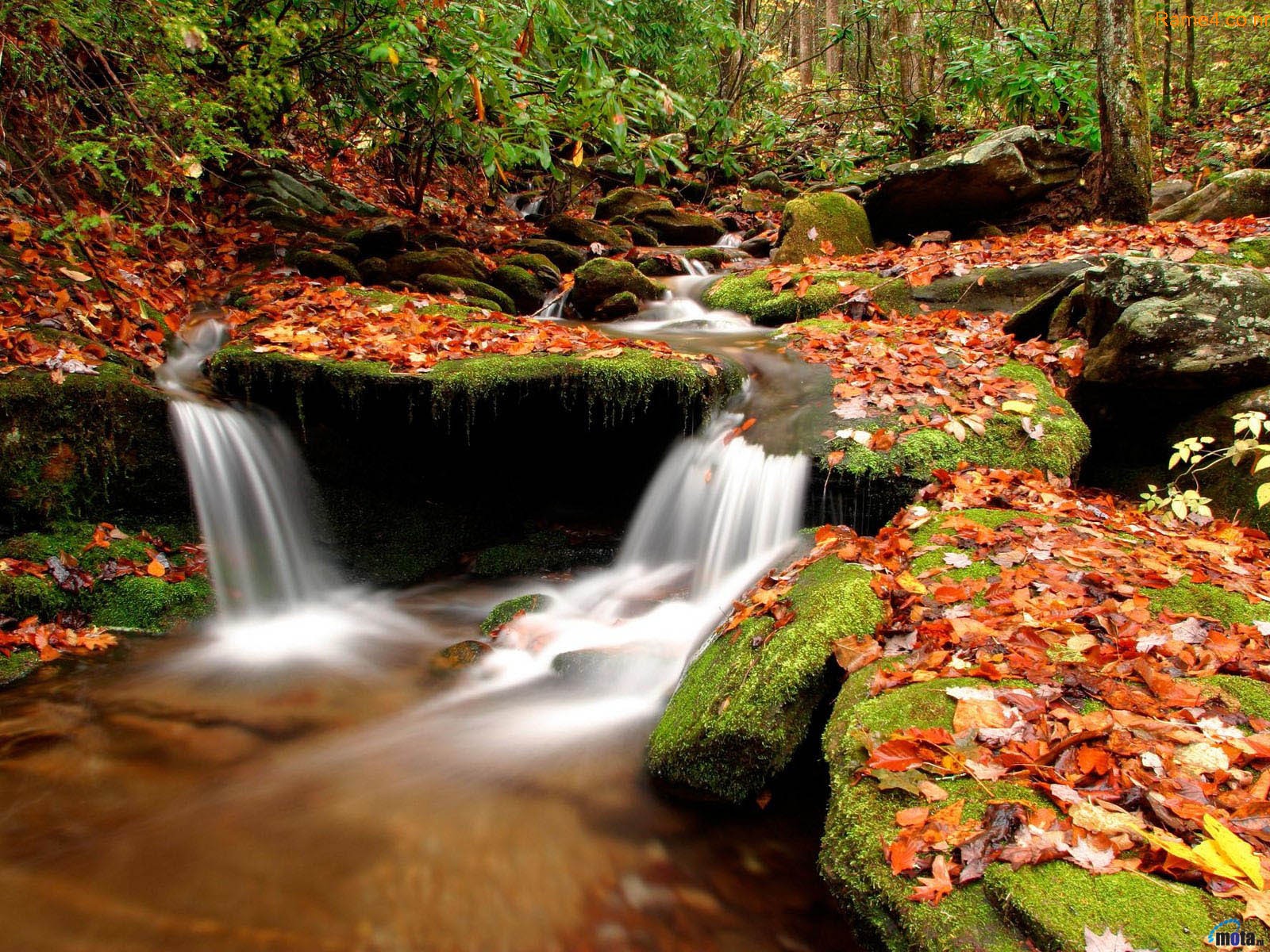 3D Nature Wallpapers – Download Wallpapers Desktop Nature Desktop ...