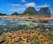 Lord Howe Island Group