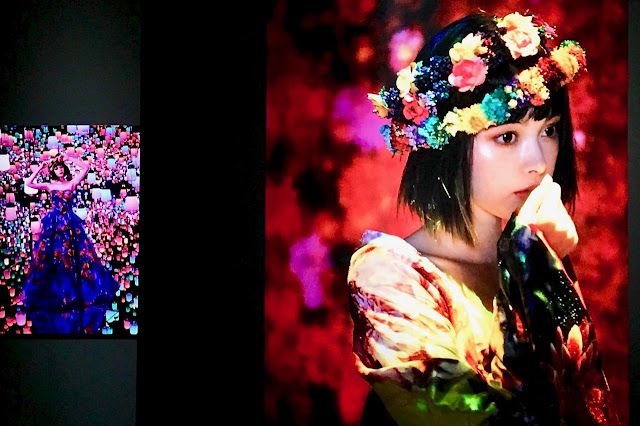 Mika Ninagawa @ teamLab Borderlessの写真