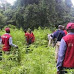 NDLEA raids Edo forest, seizes N1.4bn worth of cannabis