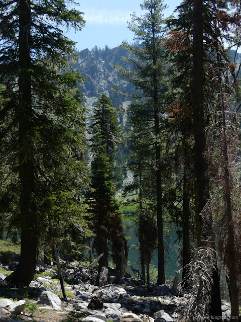 23: trees in front of a lake