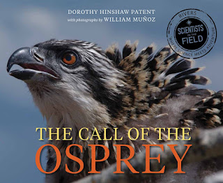 review of The Call of the Osprey by Dorothy Hinshaw Patent