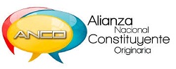 ALIANZA NACIONAL CONSTITUTENTE