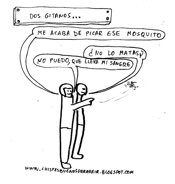 Dos gitanos... -Me acaba de picar ese mosquito. -¿No lo matas? -No puedo, que lleva mi sangre.