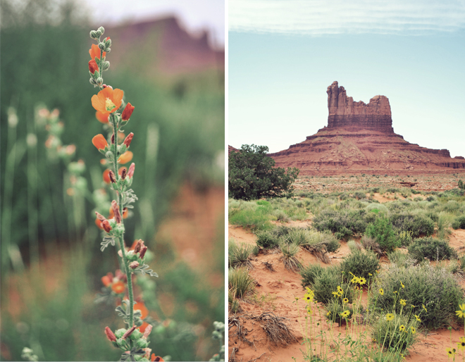 The Flying Clubhouse: U.S. Route 163 Through Monument Valley