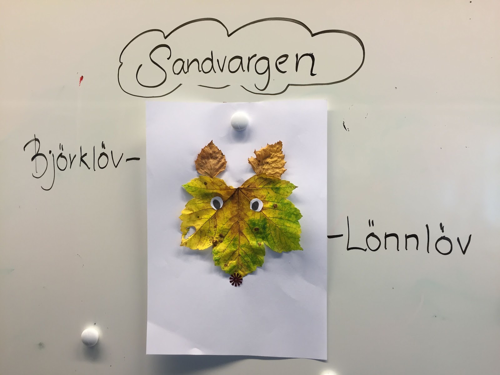 BloggerImage