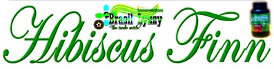 LOGO HISBISCU