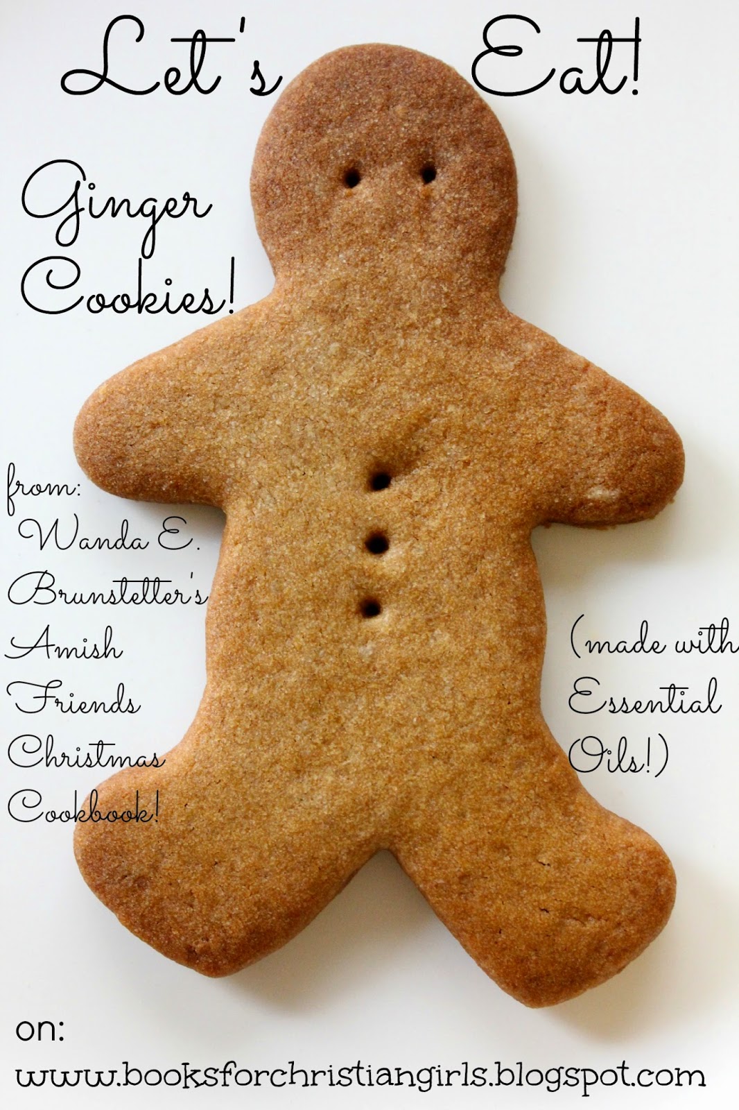 http://booksforchristiangirls.blogspot.com/2014/12/lets-eat-ginger-cookies-from-wanda-e.html