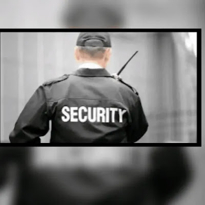 security and protection services